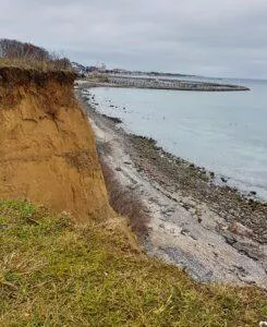 Fotor_154696532134851