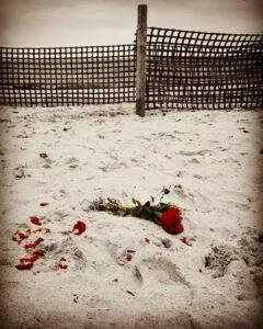 IMG_20191022_161010_515