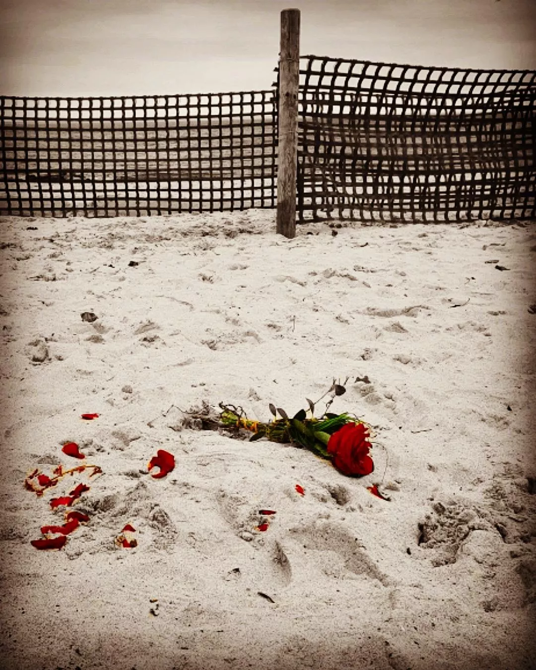 IMG_20191022_161010_515