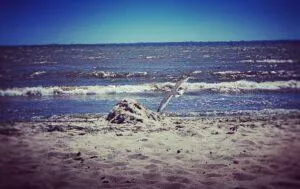 IMG_20200601_141818_931