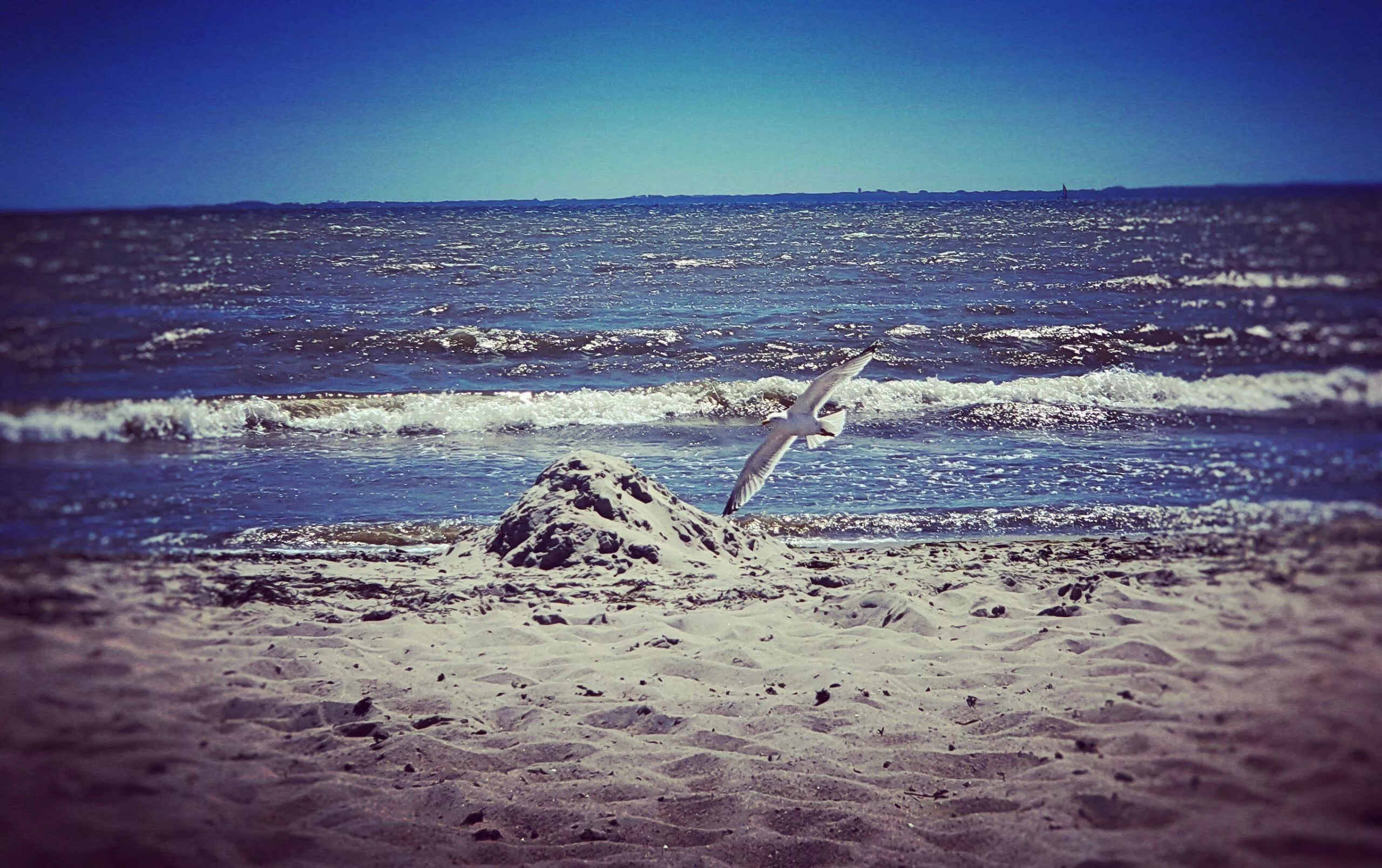 IMG_20200601_141818_931